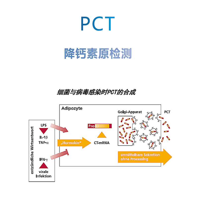 PCT 降鈣素源檢測(cè)